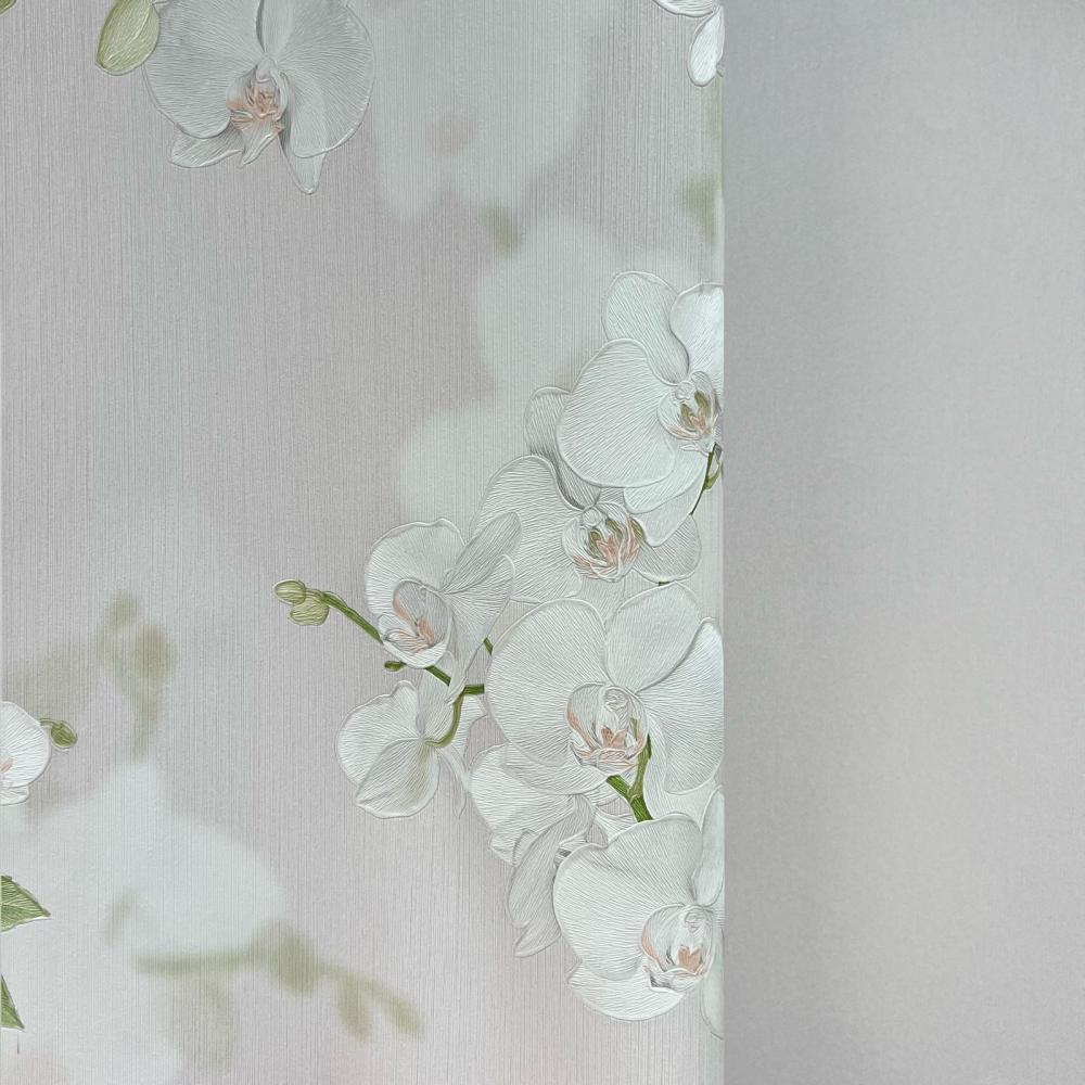 Andrea Rossi Stromboli 54341-10