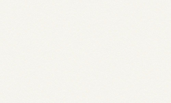 Rasch Bright Whisper W 189102