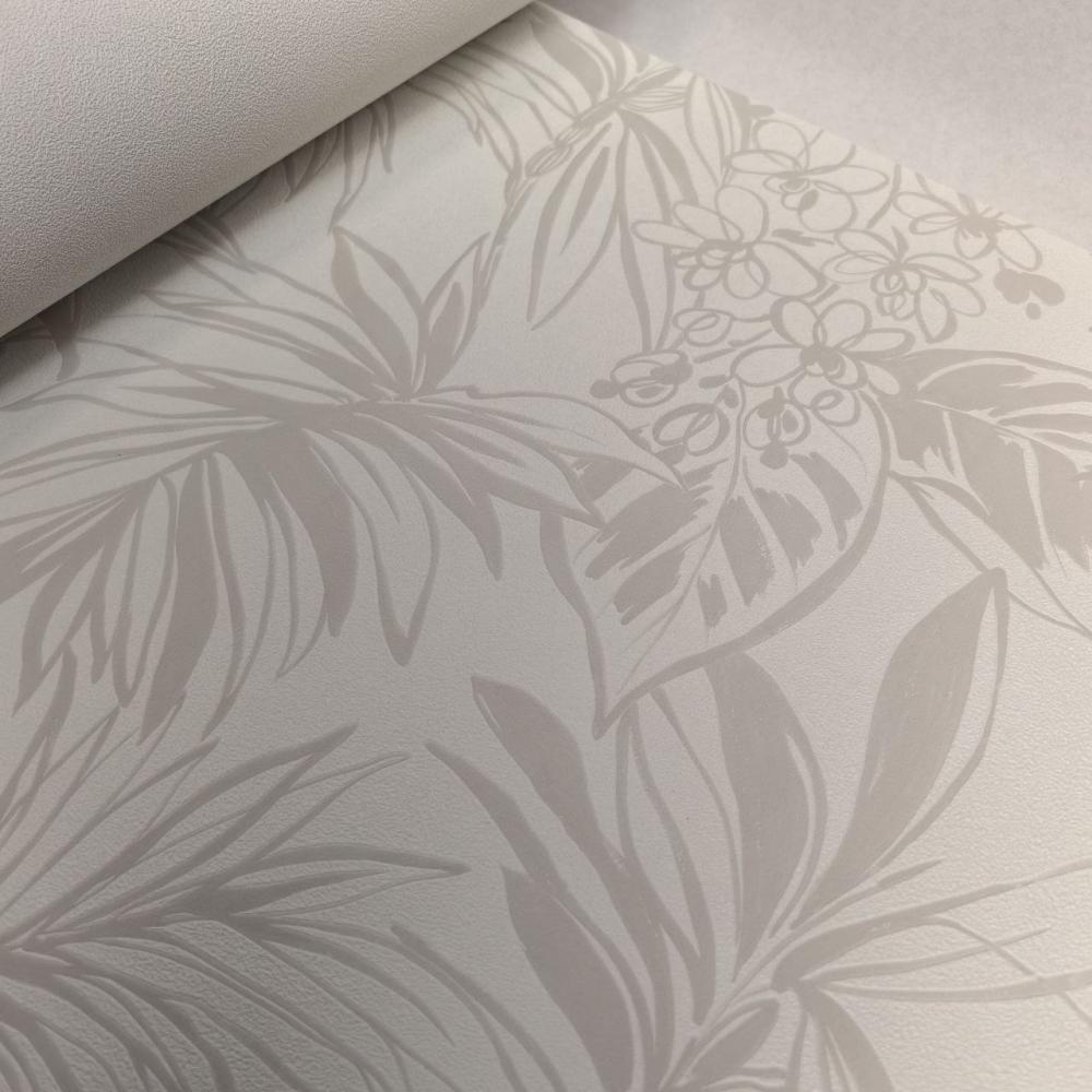 Andrea Rossi Berggi 54446-2