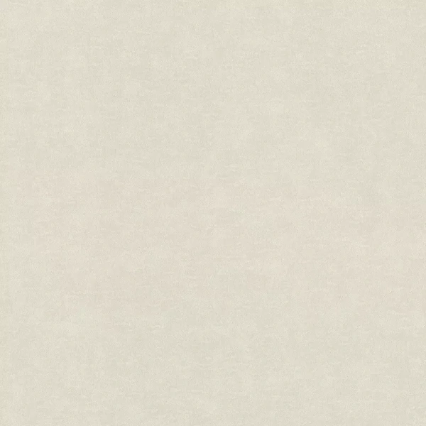 Rasch Wall Textures XL965025